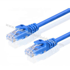 De blauwe Kabel die van de Netwerkschakelaar Gegevenskat 9 overbrengen Ethernet-Kabel