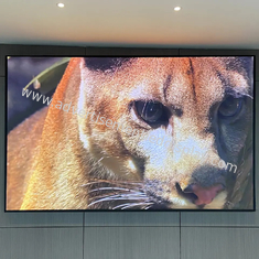 320mmx160mm Indoor Advertising LED Screen Iron/Die-casting Aluminium Kabinet Materiaal